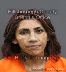 Mugshot of ABRIL TOMASA AGUILAR