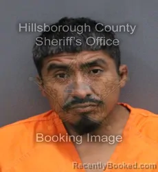 Mugshot of OSCAR MARTINEZ GONZALES