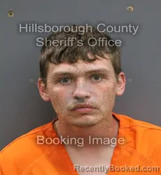 Mugshot of AUSTIN LANE WELLS