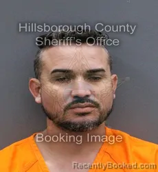 Mugshot of AMAURIS VARGAS PEREZ