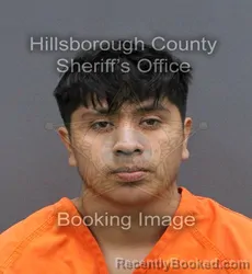 Mugshot of DIEGO NAPOLEON GONZALEZ GONZALEZ