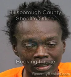 Mugshot of LERIYEA WILLIAMS