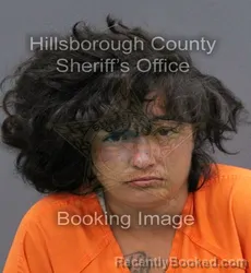 Mugshot of JOYLISSA ANA MARRERO