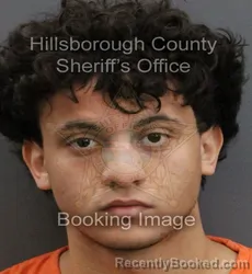 Mugshot of HAIDER ALI NASR