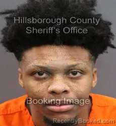 Mugshot of LORENZO JEROME LUKE