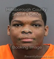 Mugshot of KEVIN DESEAN JR VINSON