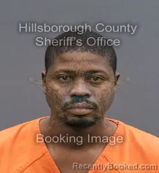 Mugshot of SANCHEZ JOSEF REGINALD FERGUSON
