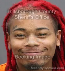 Mugshot of MILO RODERICK JR MARTIN