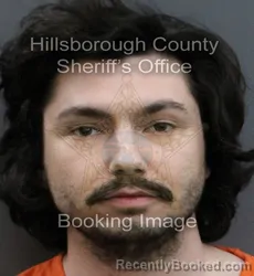 Mugshot of ANDREW JOHN TSINKELIS