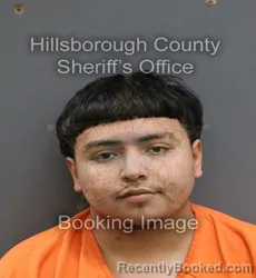 Mugshot of LIXANDRO RAMIREZ FLORES