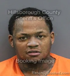 Mugshot of JEREMY RENARD JAMES