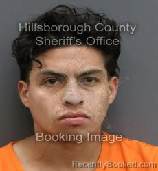 Mugshot of FERNANDO JOSE PONCE CABALLERO