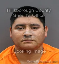 Mugshot of HERSON ELIFAS HERNANDEZ HERNANDEZ