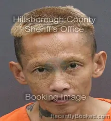 Mugshot of CUONG MANN CHAU