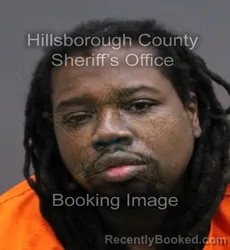 Mugshot of VIDAL MCKENLY ROBERTSON