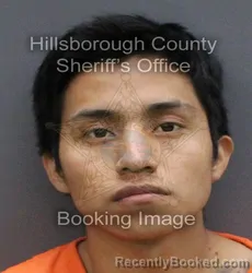 Mugshot of ALEX FRANCISCO TEBLAN CHIC