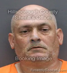 Mugshot of MAGIN LOGAN RIFAS