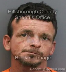 Mugshot of JOSHUA SCOTT LANDERS