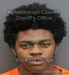 Mugshot of MATTHEW D ALLARD