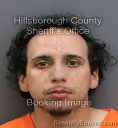 Mugshot of MICHAEL ALEXANDER VILLARREAL