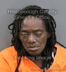 Mugshot of TIFFANY LASHA PORTER