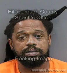 Mugshot of CLAYTON WILSON LEE