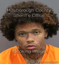 Mugshot of CHARLES CHRISTOPHER BROWN