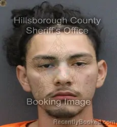 Mugshot of EVERARDO MIGUEL CASTILLO