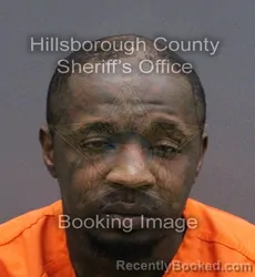 Mugshot of KERBY THELUS