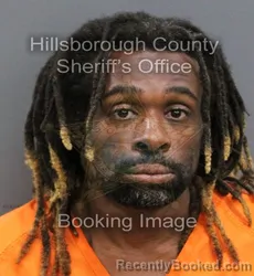 Mugshot of ALFONZO RENALDO STEPHENS