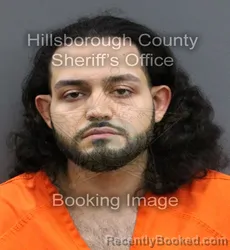 Mugshot of FABIAN ARZUAGA booked in Hillsborough County, Florida on March 10, 2026