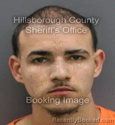 Mugshot of ANGEL JERIEL LOPEZ booked in Hillsborough County, Florida on March 10, 2026