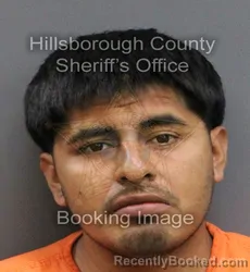 Mugshot of FREDI BUENO HERNANDEZ booked in Hillsborough County, Florida on March 10, 2026