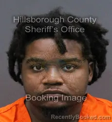 Mugshot of RAMILIO M TURK booked in Hillsborough County, Florida on March 10, 2026