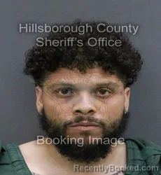 Mugshot of CAMILO JR TORRES booked in Hillsborough County, Florida on March 10, 2026