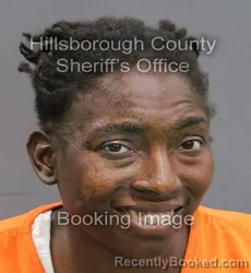 Mugshot of MARSHA ROCELLE LEWIS booked in Hillsborough County, Florida on March 10, 2026