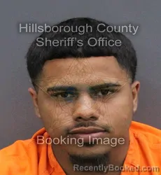 Mugshot of ERLIN JOSE CABRERA-MOLINA booked in Hillsborough County, Florida on March 10, 2026