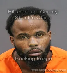 Mugshot of DOMINIC MAURICE WHITE booked in Hillsborough County, Florida on March 10, 2026