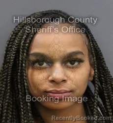 Mugshot of MESEADIA KHALISS SPRINGER booked in Hillsborough County, Florida on March 10, 2026