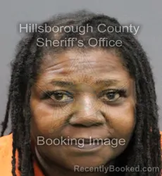 Mugshot of ANNIE LERA SLEDGE booked in Hillsborough County, Florida on March 10, 2026