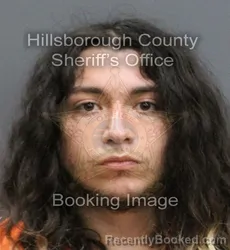 Mugshot of ANGEL SAUL SALDANA NINO booked in Hillsborough County, Florida on March 10, 2026