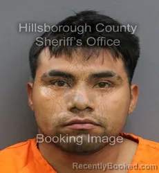 Mugshot of DIONICIO DIAZ SALES