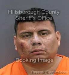 Mugshot of IVAN AMADEO FLORES DELGADO