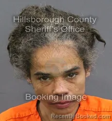 Mugshot of CHANTEL MARIE MERKERSON