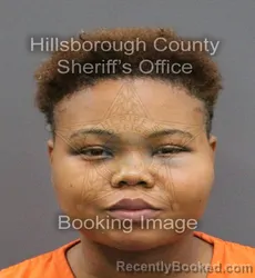 Mugshot of CHRISTELLA EVONNE CLARK