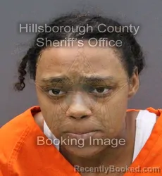 Mugshot of SASHA DIANNE YOUNG
