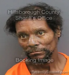 Mugshot of SHANNON DURANT