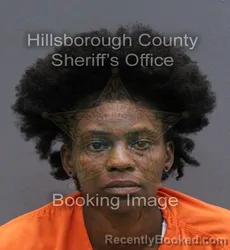 Mugshot of ANTOINETTE SHANTEL SHELLMAN