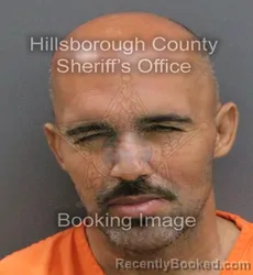 Mugshot of MICHAEL DAVID VAGIANDERIS