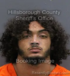 Mugshot of ELIJAH WOLFE BROWN-WILLIAMS